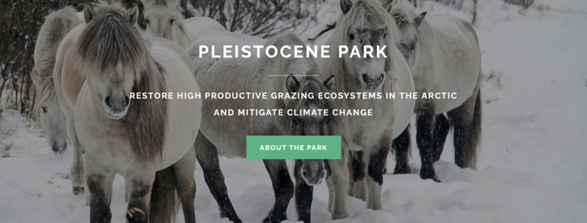 Снимок экрана 2025-03-02 в 12.46.27